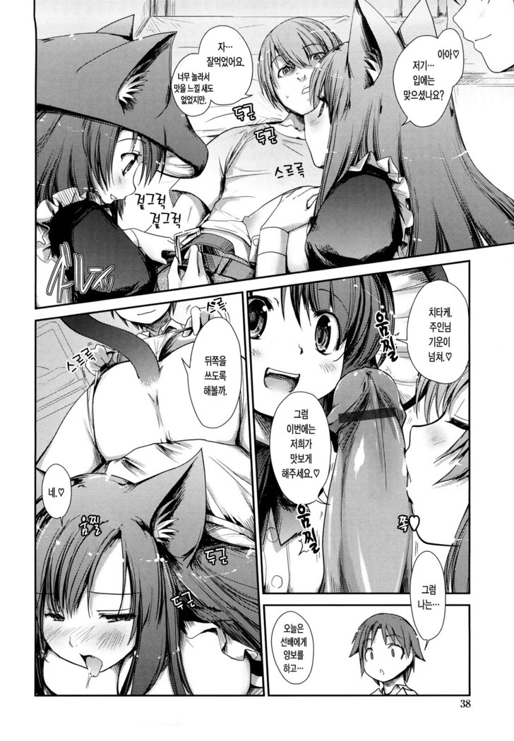 Nekokino to Ame no Machi