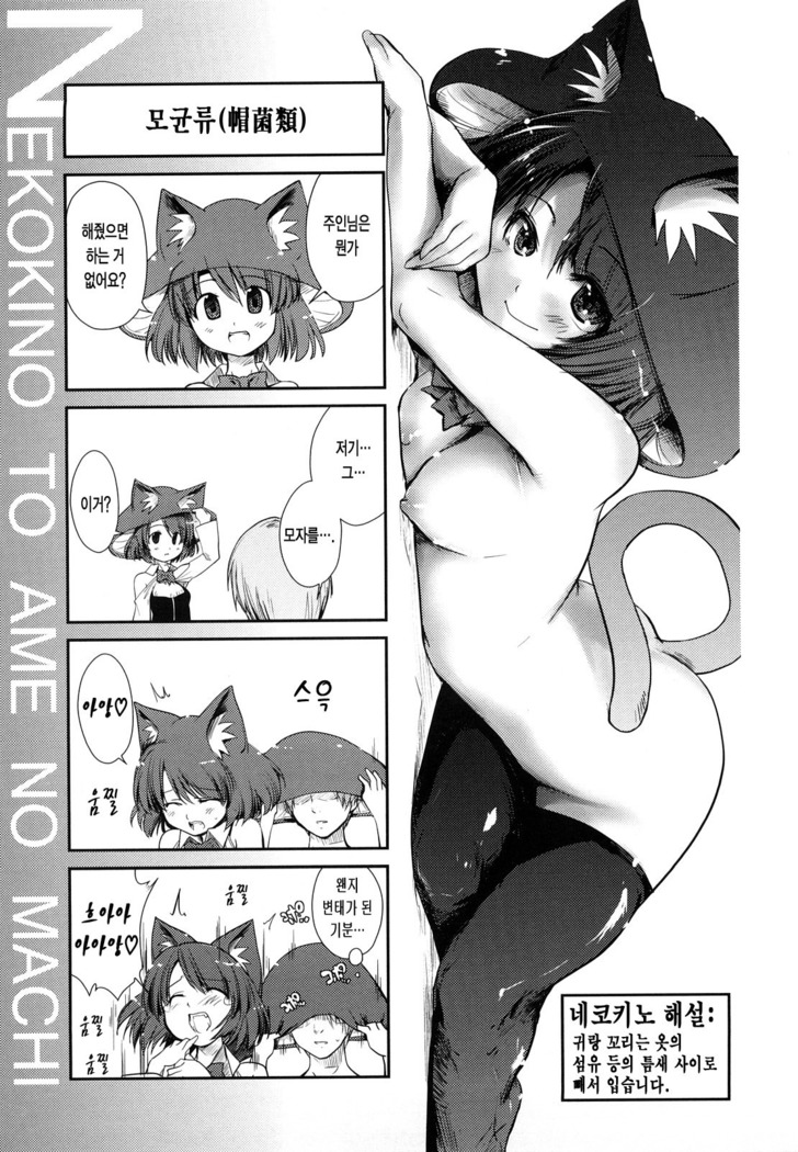Nekokino to Ame no Machi