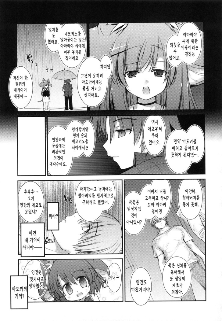 Nekokino to Ame no Machi