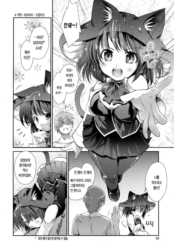 Nekokino to Ame no Machi