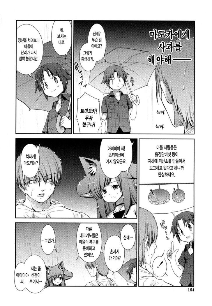 Nekokino to Ame no Machi