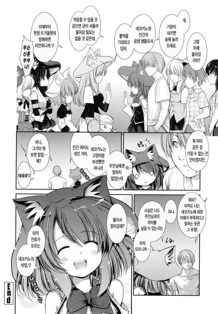 Nekokino to Ame no Machi