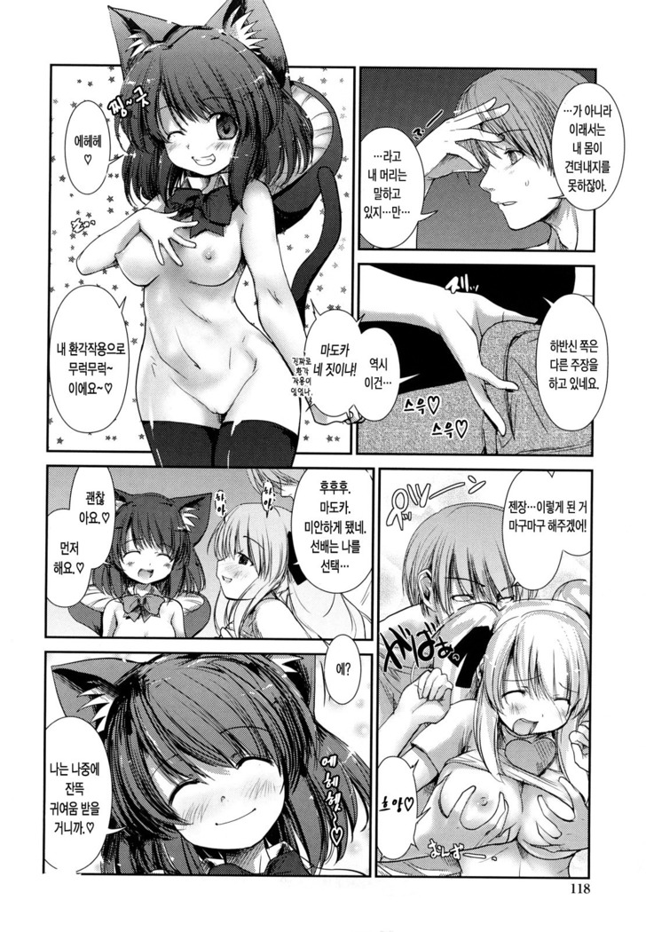 Nekokino to Ame no Machi