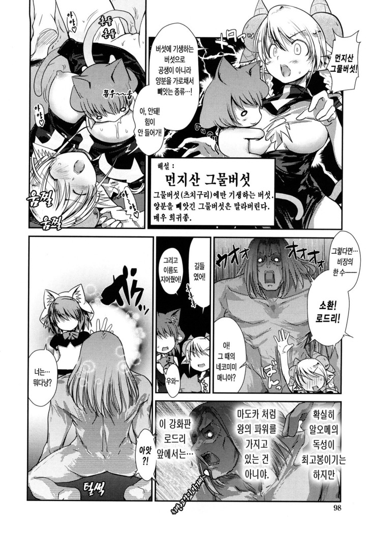 Nekokino to Ame no Machi
