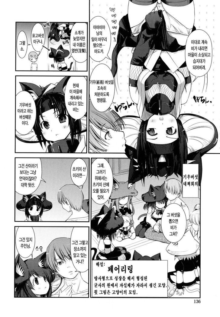 Nekokino to Ame no Machi