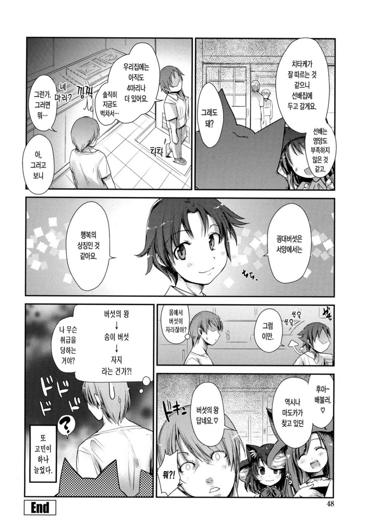 Nekokino to Ame no Machi