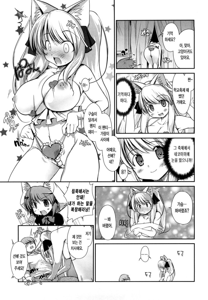 Nekokino to Ame no Machi