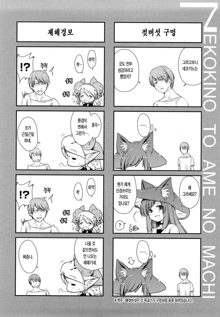 Nekokino to Ame no Machi