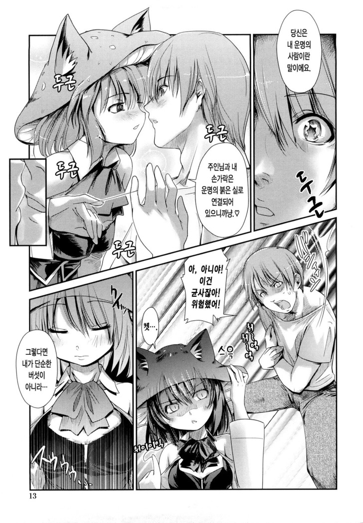 Nekokino to Ame no Machi