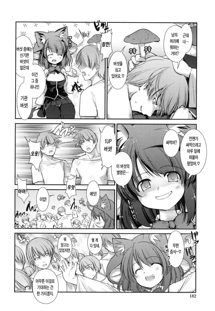Nekokino to Ame no Machi