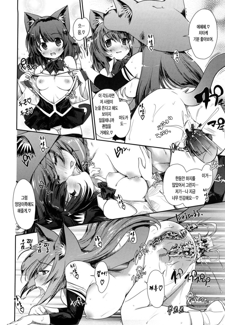 Nekokino to Ame no Machi