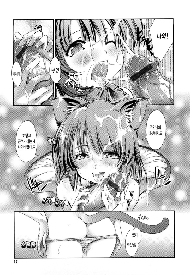 Nekokino to Ame no Machi