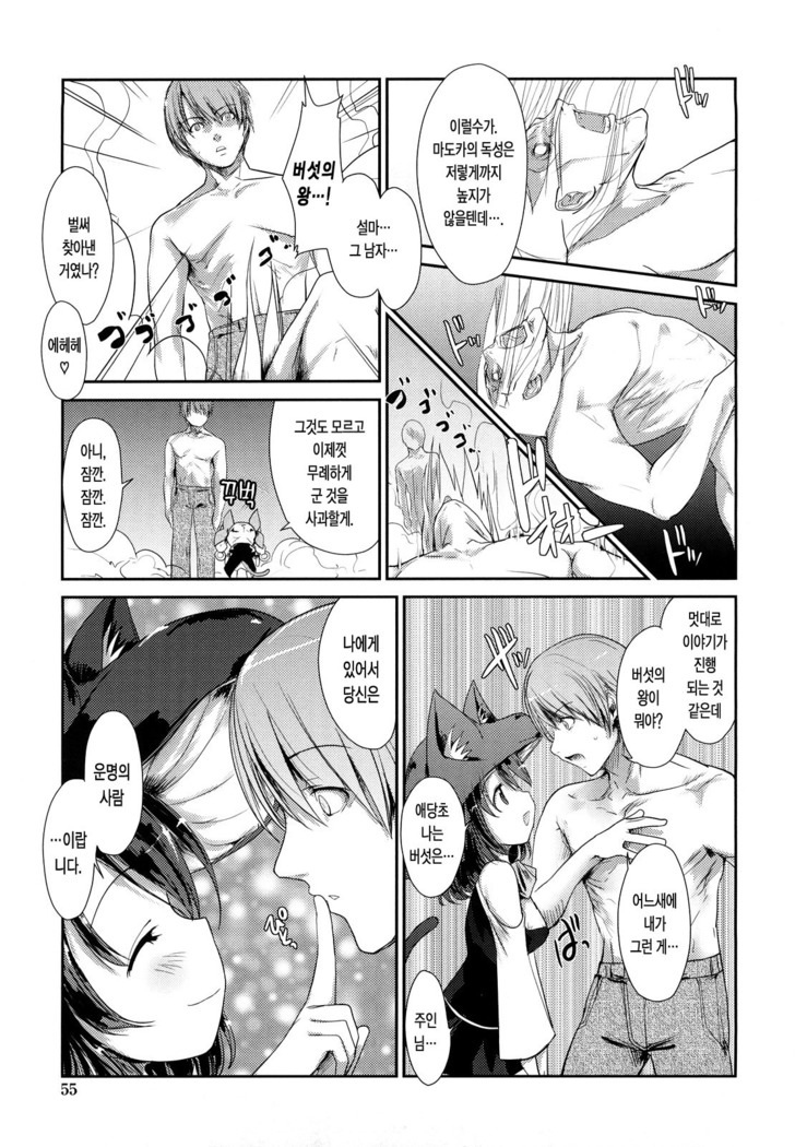 Nekokino to Ame no Machi
