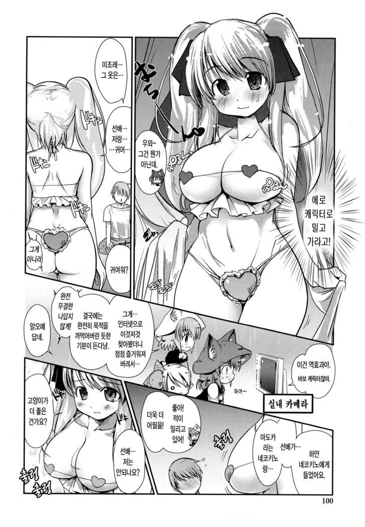 Nekokino to Ame no Machi