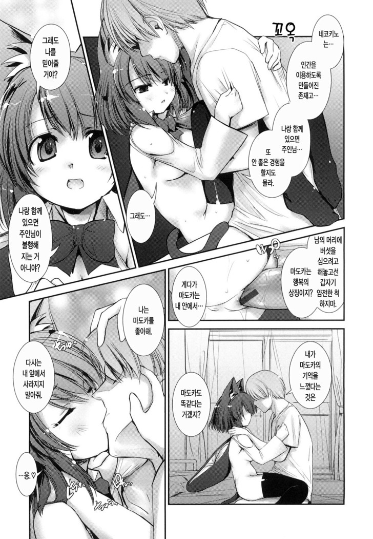 Nekokino to Ame no Machi