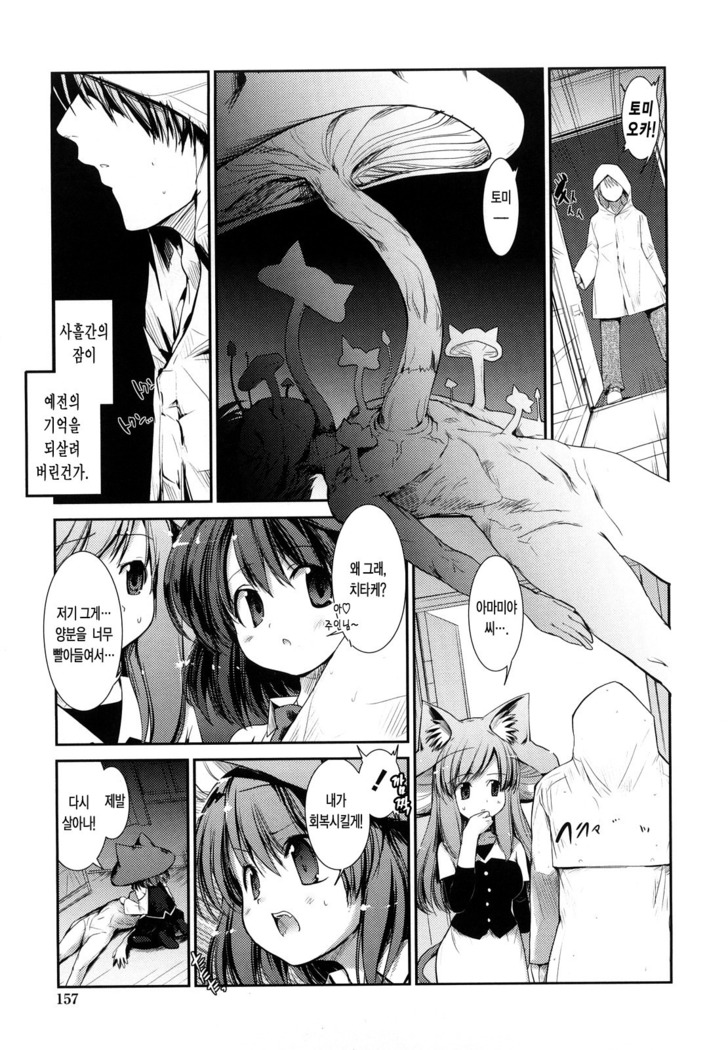 Nekokino to Ame no Machi