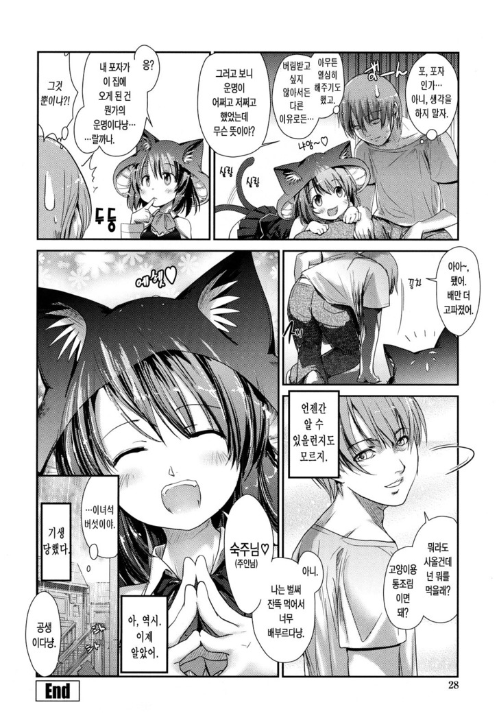Nekokino to Ame no Machi