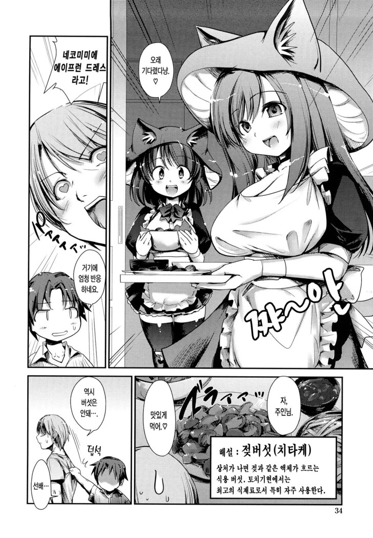 Nekokino to Ame no Machi