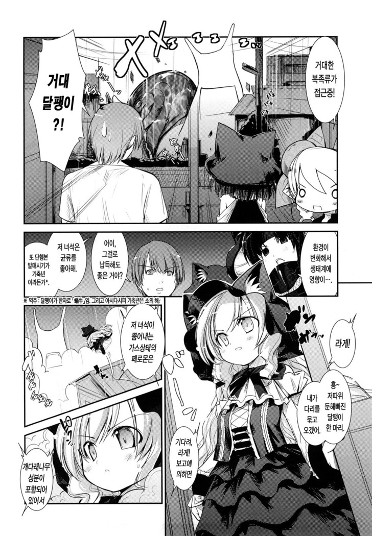 Nekokino to Ame no Machi