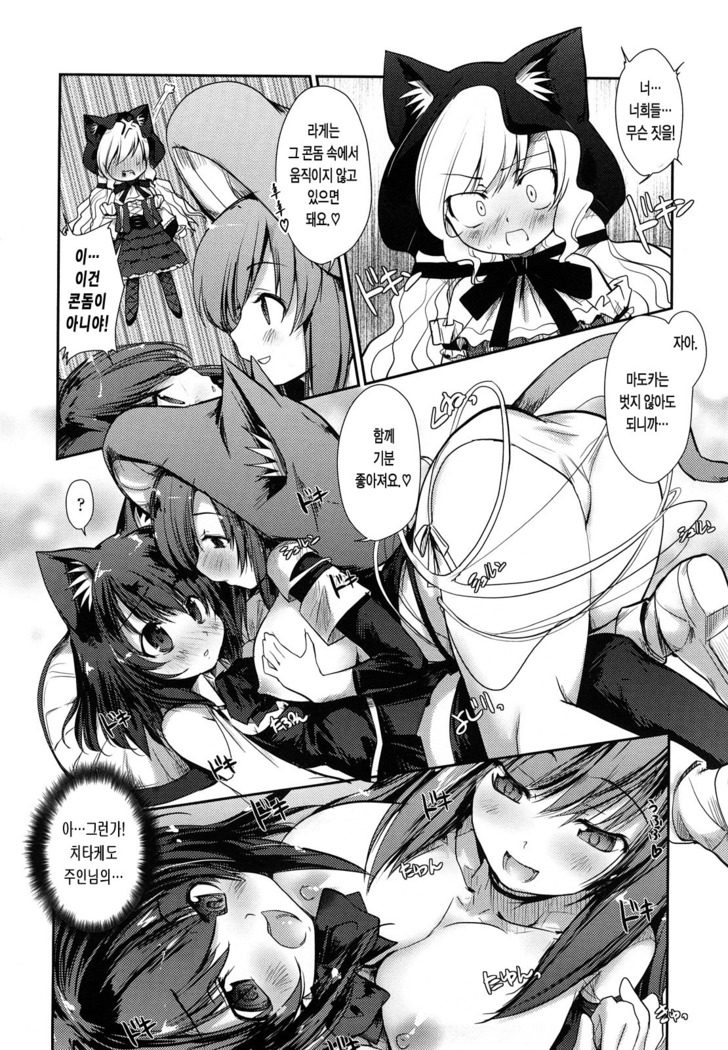 Nekokino to Ame no Machi