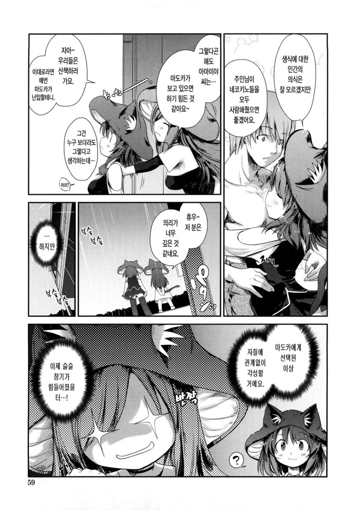 Nekokino to Ame no Machi