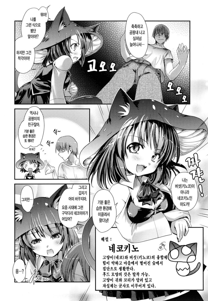 Nekokino to Ame no Machi