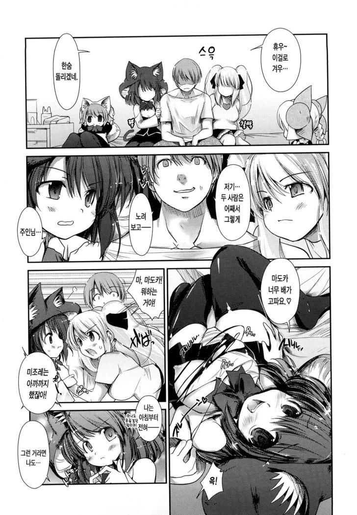 Nekokino to Ame no Machi