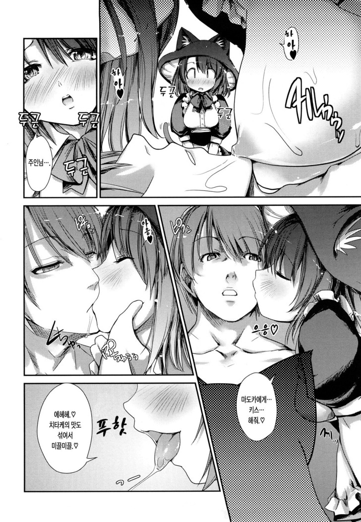 Nekokino to Ame no Machi