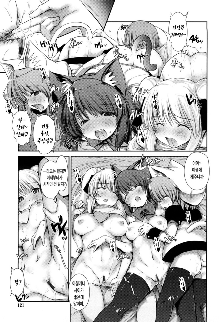 Nekokino to Ame no Machi