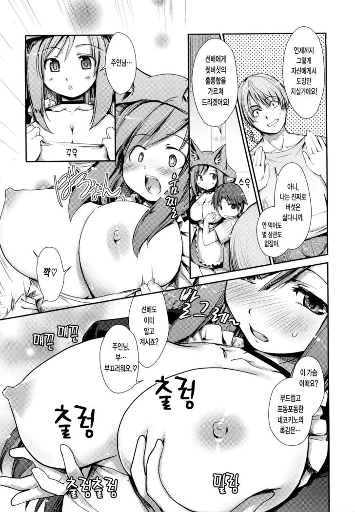 Nekokino to Ame no Machi