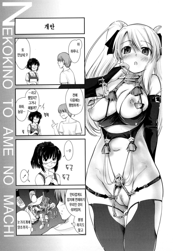 Nekokino to Ame no Machi