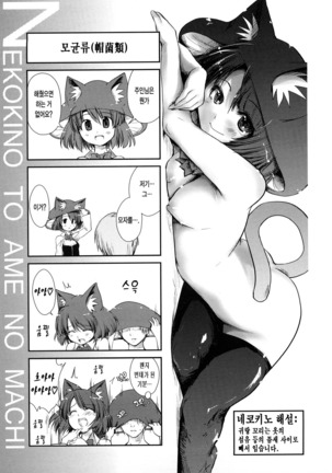 Nekokino to Ame no Machi - Page 72