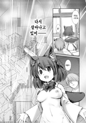 Nekokino to Ame no Machi - Page 203