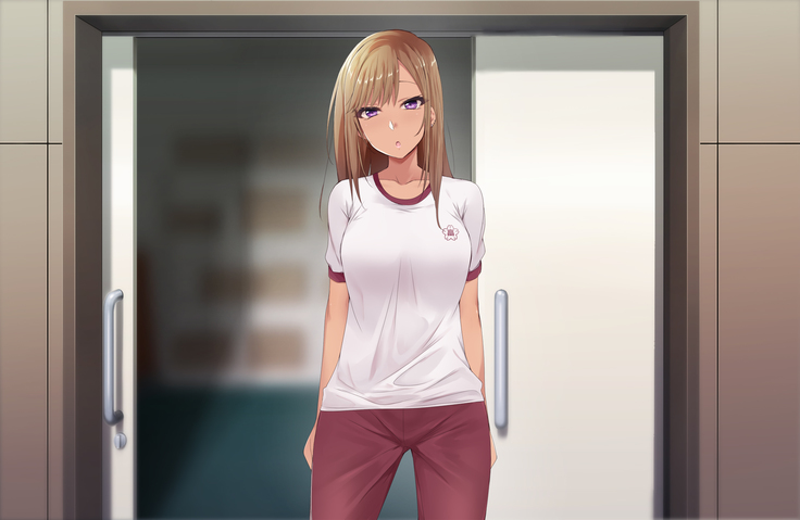 Otaku ni Yarashii Gyaru