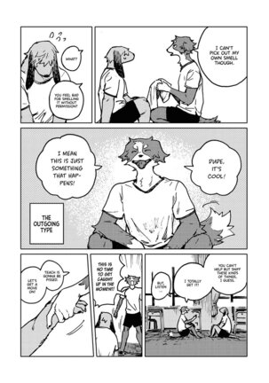 Image 13285178