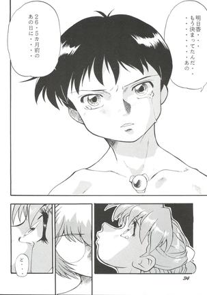 Evan 26.5 V Page #33