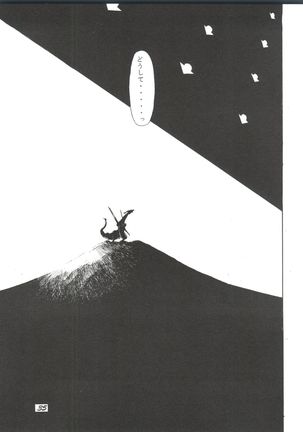 Evan 26.5 V Page #34