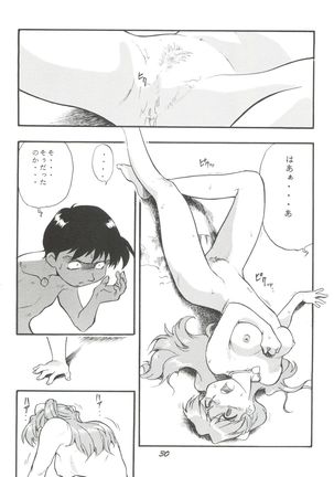 Evan 26.5 V Page #29