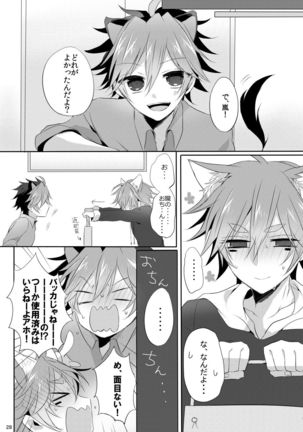 Onii-san to Asobou! Page #27