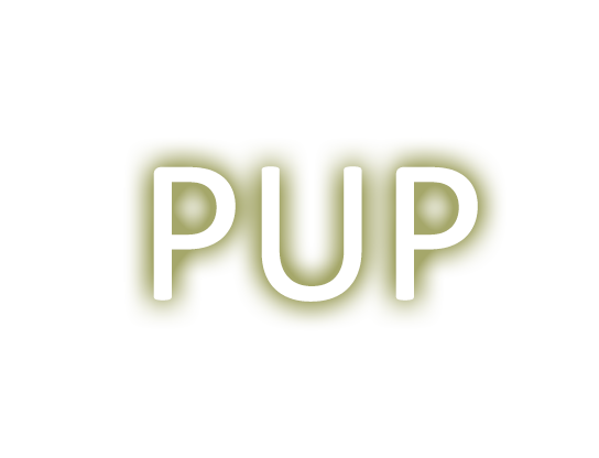 Warrior Guild 1.0.0