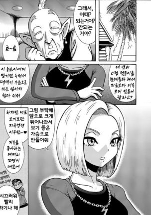 Jinzou Onaho 18-gou  | 인조오나홀 18호 Page #3