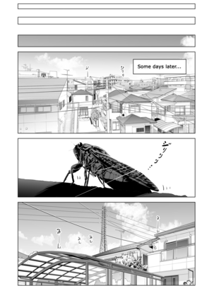 Nureane ~Batsuichi no Ane to Sex o Shita Natsu no Yoru~ Page #13