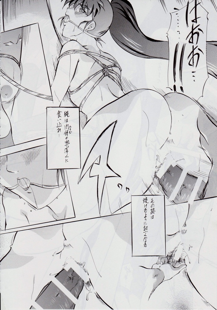 Ai & Mai DS II ~Setsugekka~
