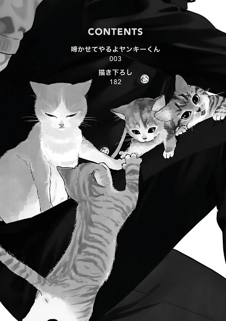 Nakasete Yaru yo Yankee-kun | 让你哭噢小混混 Ch. 1