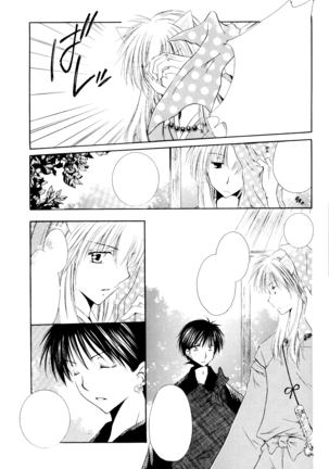 Ryuusei Ryodan Page #17