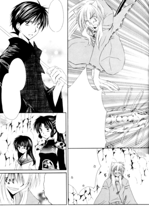 Ryuusei Ryodan Page #25