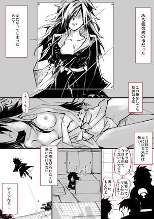 Image 11462029