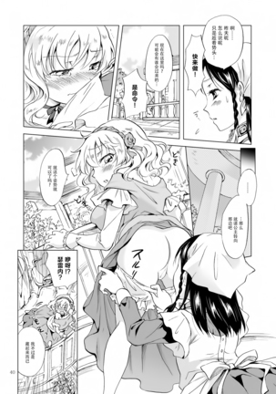 姫様と奴隷ちゃん Page #40