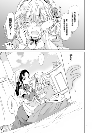 姫様と奴隷ちゃん Page #47