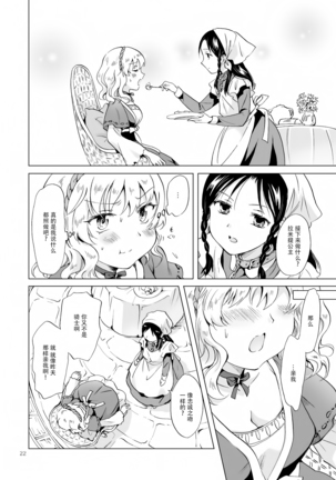 姫様と奴隷ちゃん - Page 22